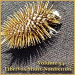 Short Nonfiction Collection, Vol. 054