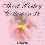 Short Poetry Collection 038