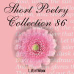 Short Poetry Collection 086