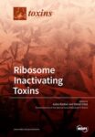 Ribosome Inactivating Toxins