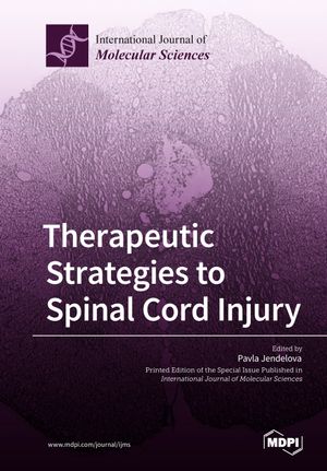 thumbnail-11901.jpg Therapeutic Strategies to Spinal Cord Injury - Image 1