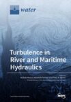Turbulence in River and Maritime Hydraulics