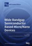 Wide Bandgap Semiconductor Based Micro/Nano Devices