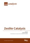 Zeolite Catalysis