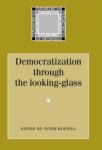 Democratization through the looking-glass