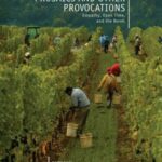 Prosaics and Other Provocations: Empathy, Open Time, and the Novel