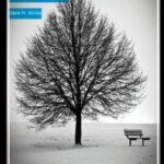 The Superstitious Muse: Thinking Russian Literature Mythopoetically