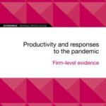 EIB Working Paper 2022/09 - Productivity and responses to the pandemic
