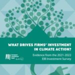 What drives firms' investment in climate action?