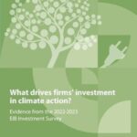 What drives firms' investment in climate change?: Evidence from the 2022-2023 EIB Investment Survey