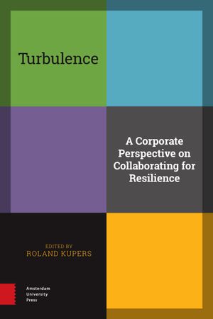 thumbnail-7453.jpg Turbulence: a Corporate Perspective On Collaborating For Resilience - Image 1