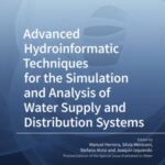Advanced Hydroinformatic Techniques for the Simulation and Analysis of Water Supply and Distribution Systems