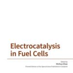 Electrocatalysis in Fuel Cells